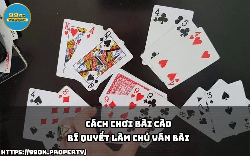 Cách Chơi Bài Cào - Bí Quyết Làm Chủ Ván Bài