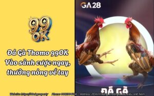 Đá Gà Thomo 99OK - Vào sảnh cược ngay, thưởng nóng về tay