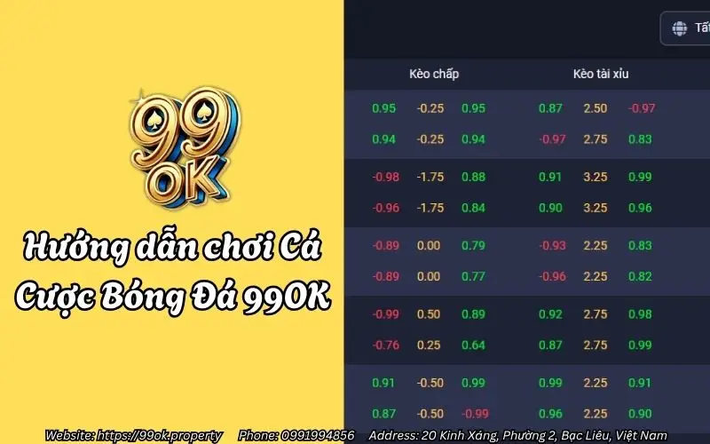 Hướng dẫn chơi Cá Cược Bóng Đá 99OK chi tiết dành cho anh em